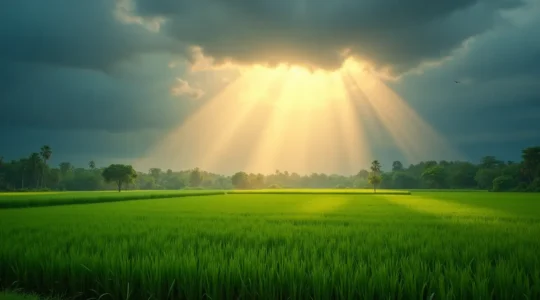 Paysage thaïlandais vibrant montrant une scène contrastée de pluie et de soleil avec des rizières verdoyantes, un ciel orageux et un arc-en-ciel